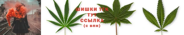 СК Аркадак